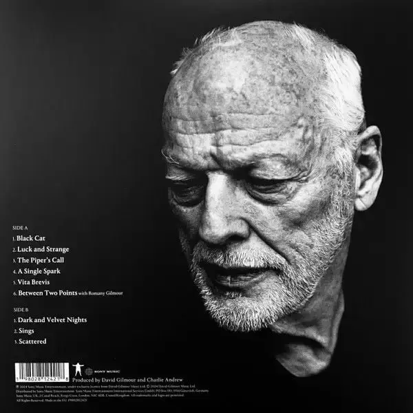 DAVID GILMOUR - LUCK AND STRANGE Plak LP