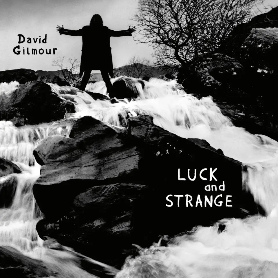 DAVID GILMOUR - LUCK AND STRANGE Plak LP