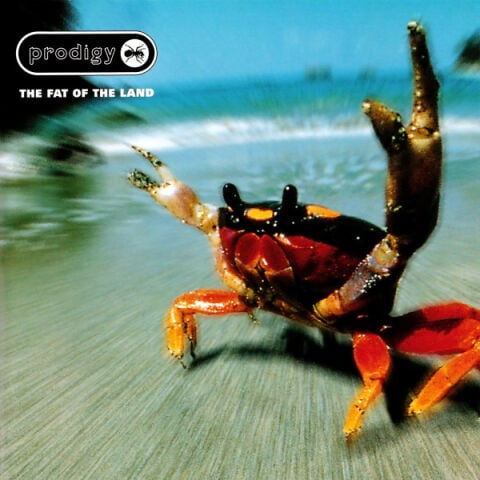 The Prodigy - The Fat Of The Land - Plak