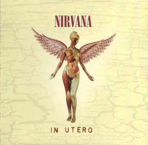 Nirvana - In Utero (20Th Anniversary Edition) - CD