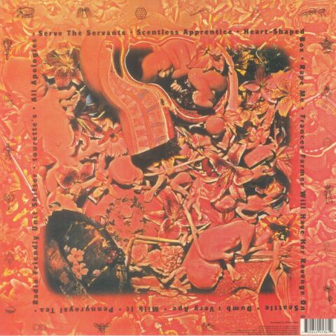 Nirvana - In Utero - Plak