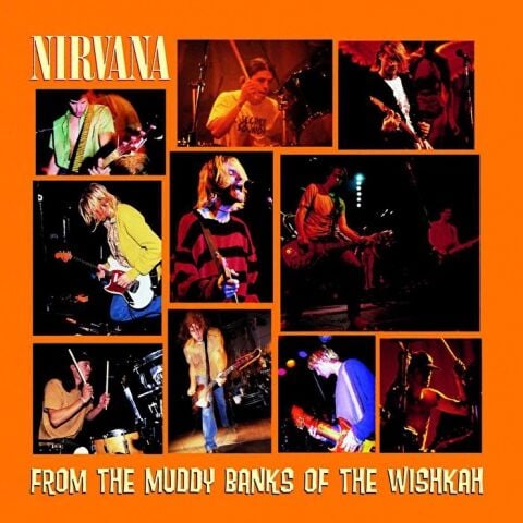 Nirvana - From The Muddy Banks Of The Wishkah - Plak