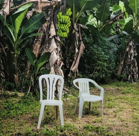 Bad Bunny - Debi Tirar Mas Fotos (Opaque White Vinyl) - Plak