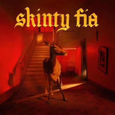 Fontaines D.C. – Skinty Fia - Plak