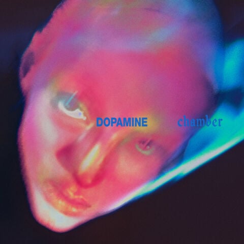 Fontaines D.C. – Dopamine Chamber - Plak